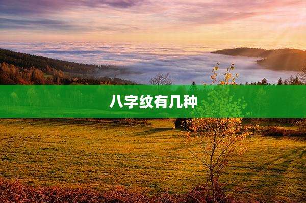 八字纹有几种