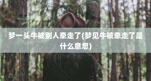 梦一头牛被别人牵走了(梦见牛被牵走了是什么意思)