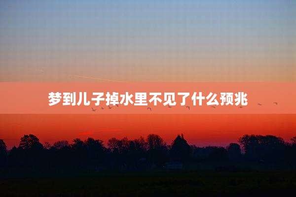 梦到儿子掉水里不见了什么预兆