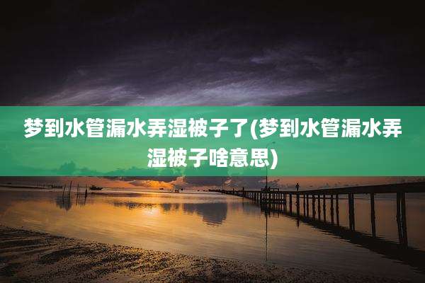 梦到水管漏水弄湿被子了(梦到水管漏水弄湿被子啥意思)