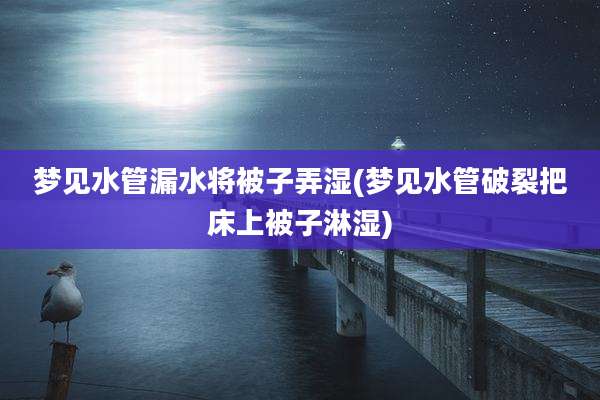 梦见水管漏水将被子弄湿(梦见水管破裂把床上被子淋湿)