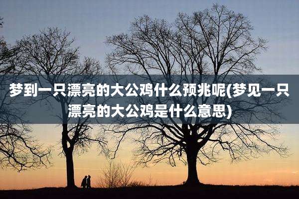梦到一只漂亮的大公鸡什么预兆呢(梦见一只漂亮的大公鸡是什么意思)