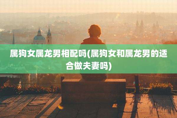属狗女属龙男相配吗(属狗女和属龙男的适合做夫妻吗)