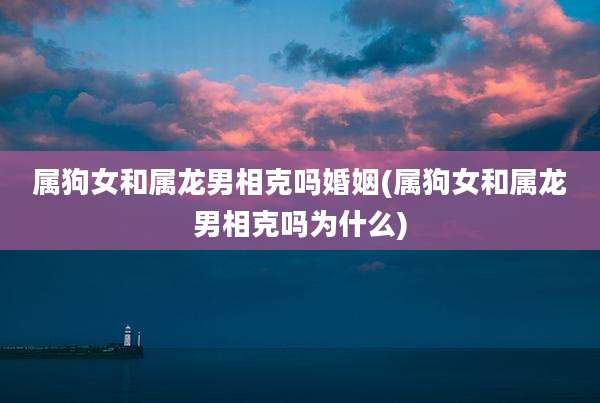 属狗女和属龙男相克吗婚姻(属狗女和属龙男相克吗为什么)