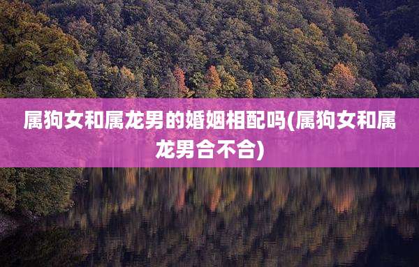 属狗女和属龙男的婚姻相配吗(属狗女和属龙男合不合)