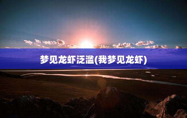 梦见龙虾泛滥(我梦见龙虾)