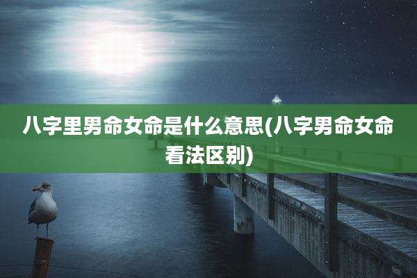 八字里男命女命是什么意思(八字男命女命看法区别)