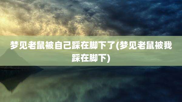 梦见老鼠被自己踩在脚下了(梦见老鼠被我踩在脚下)