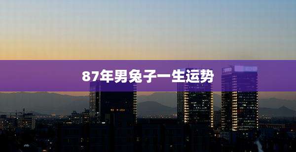 87年男兔子一生运势