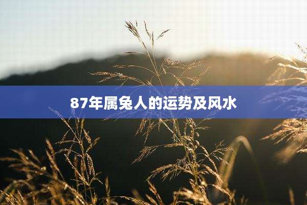 87年属兔人的运势及风水