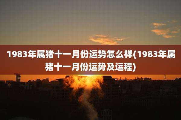 1983年属猪十一月份运势怎么样(1983年属猪十一月份运势及运程)