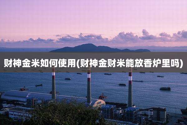 财神金米如何使用(财神金财米能放香炉里吗)