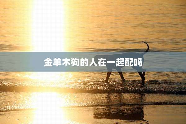 金羊木狗的人在一起配吗