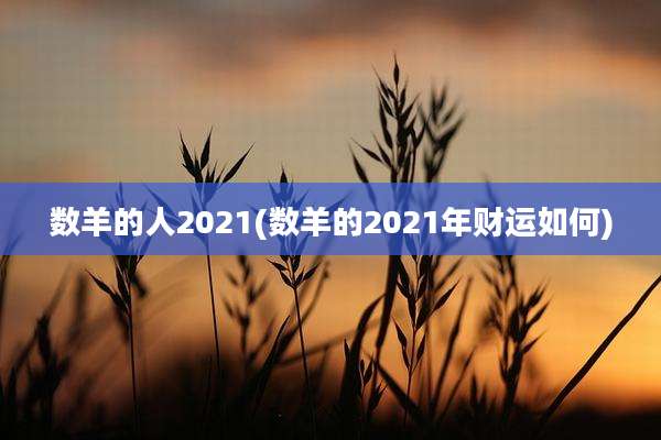 数羊的人2021(数羊的2021年财运如何)