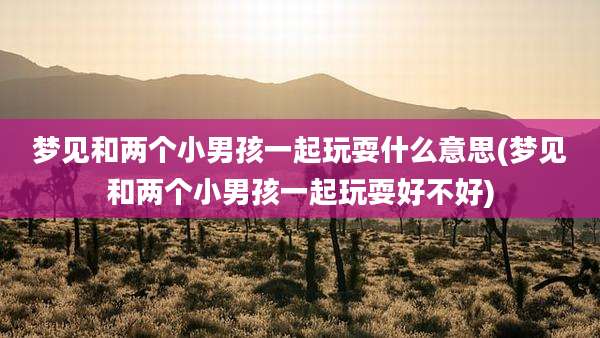 梦见和两个小男孩一起玩耍什么意思(梦见和两个小男孩一起玩耍好不好)