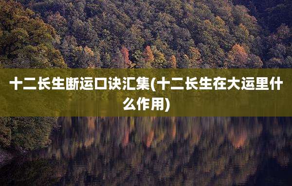 十二长生断运口诀汇集(十二长生在大运里什么作用)