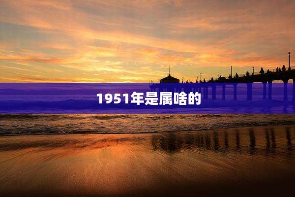 1951年是属啥的
