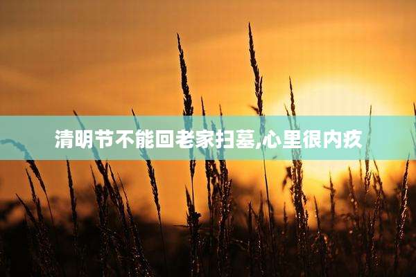 清明节不能回老家扫墓,心里很内疚