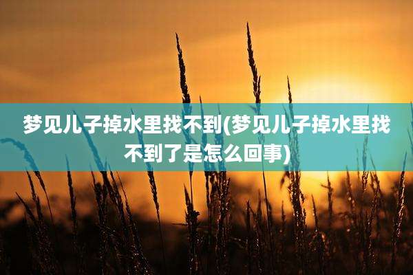 梦见儿子掉水里找不到(梦见儿子掉水里找不到了是怎么回事)