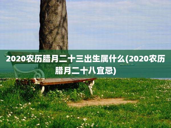 2020农历腊月二十三出生属什么(2020农历腊月二十八宜忌)