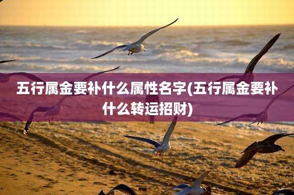 五行属金要补什么属性名字(五行属金要补什么转运招财)