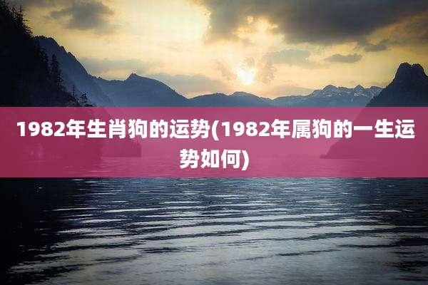 1982年生肖狗的运势(1982年属狗的一生运势如何)