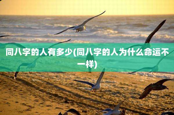 同八字的人有多少(同八字的人为什么命运不一样)