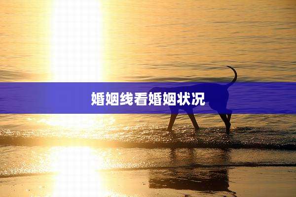 婚姻线看婚姻状况