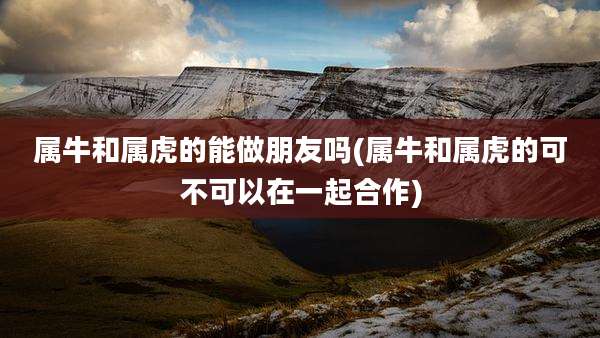 属牛和属虎的能做朋友吗(属牛和属虎的可不可以在一起合作)
