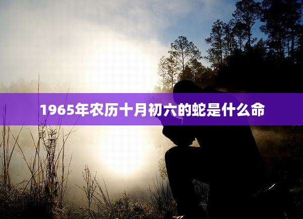 1965年农历十月初六的蛇是什么命