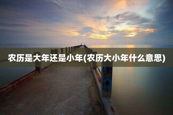 农历是大年还是小年(农历大小年什么意思)