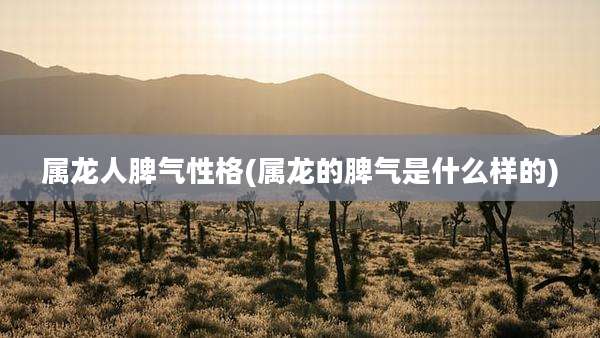 属龙人脾气性格(属龙的脾气是什么样的)