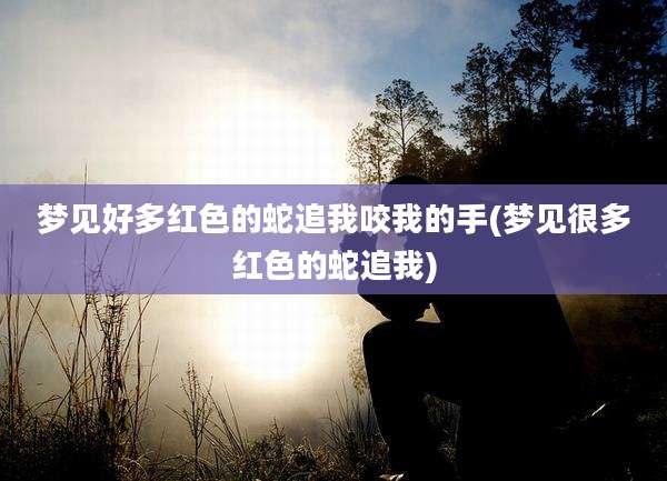 梦见好多红色的蛇追我咬我的手(梦见很多红色的蛇追我)