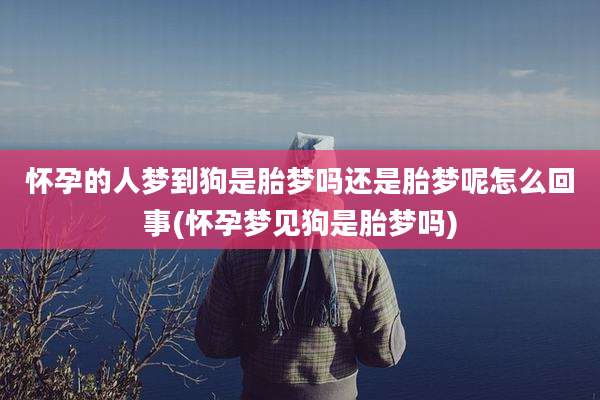怀孕的人梦到狗是胎梦吗还是胎梦呢怎么回事(怀孕梦见狗是胎梦吗)