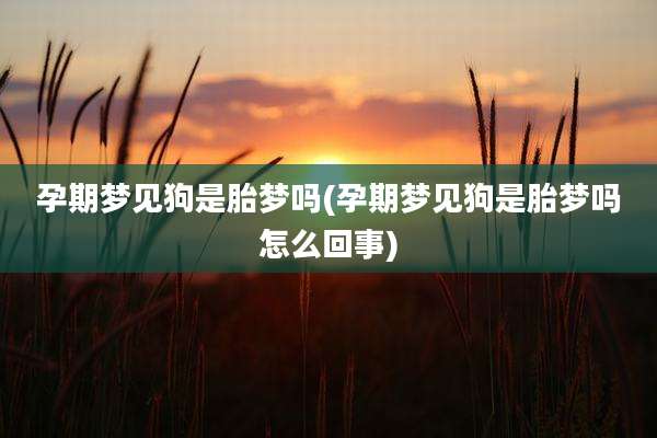 孕期梦见狗是胎梦吗(孕期梦见狗是胎梦吗怎么回事)