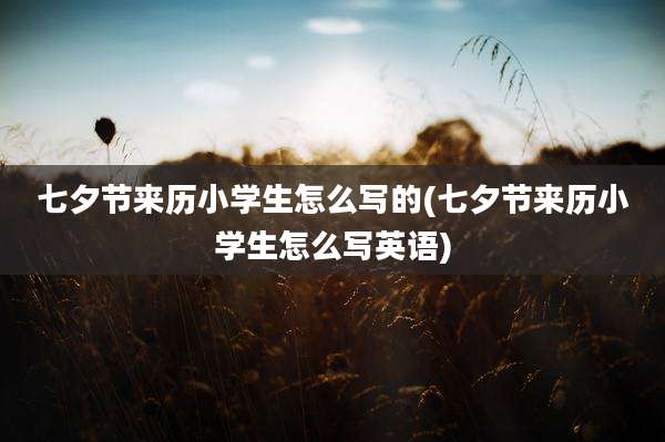 七夕节来历小学生怎么写的(七夕节来历小学生怎么写英语)