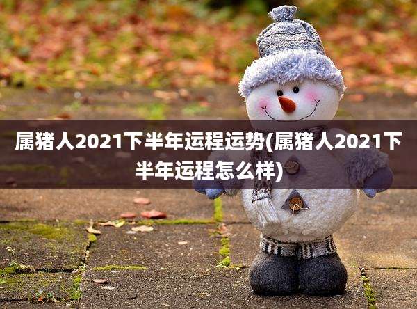 属猪人2021下半年运程运势(属猪人2021下半年运程怎么样)