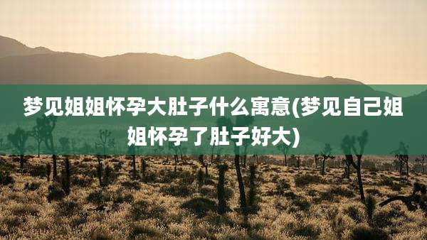 梦见姐姐怀孕大肚子什么寓意(梦见自己姐姐怀孕了肚子好大)