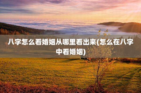 八字怎么看婚姻从哪里看出来(怎么在八字中看婚姻)