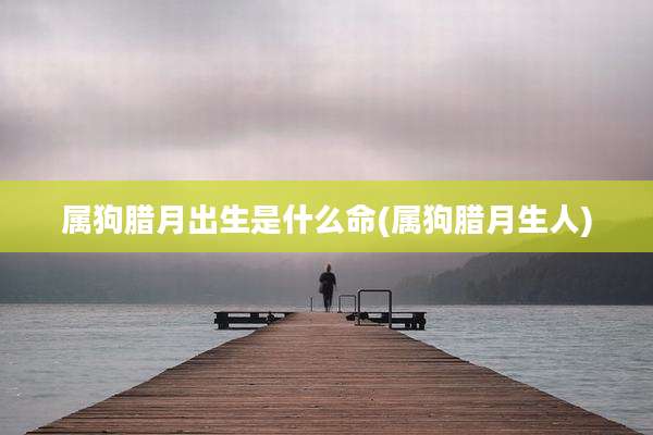 属狗腊月出生是什么命(属狗腊月生人)