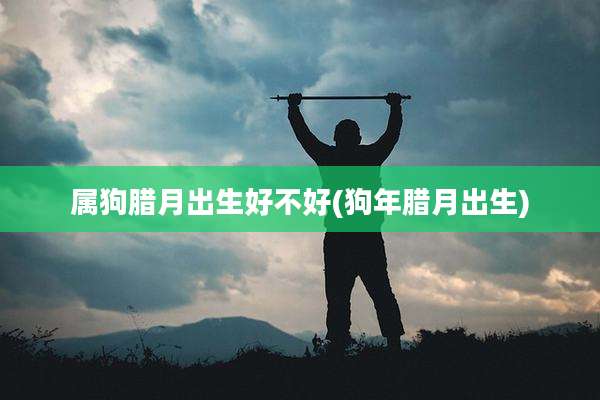 属狗腊月出生好不好(狗年腊月出生)