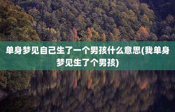 单身梦见自己生了一个男孩什么意思(我单身梦见生了个男孩)