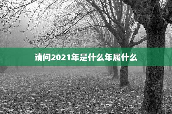 请问2021年是什么年属什么