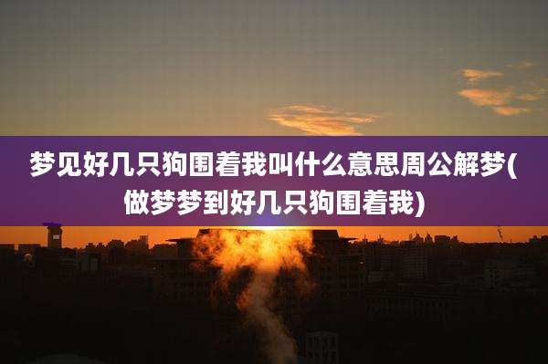 梦见好几只狗围着我叫什么意思周公解梦(做梦梦到好几只狗围着我)