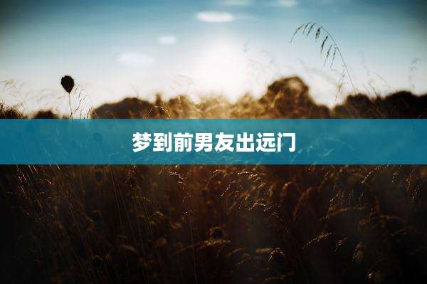 梦到前男友出远门