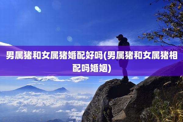 男属猪和女属猪婚配好吗(男属猪和女属猪相配吗婚姻)