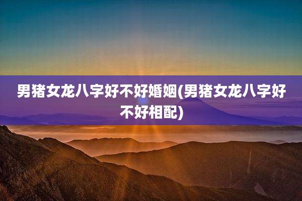 男猪女龙八字好不好婚姻(男猪女龙八字好不好相配)