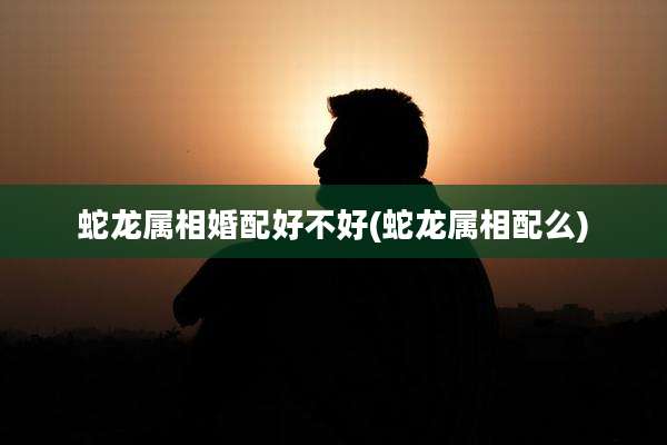 蛇龙属相婚配好不好(蛇龙属相配么)