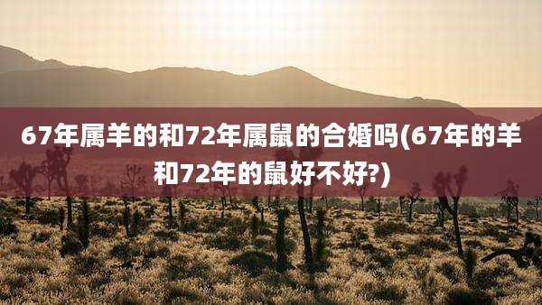 67年属羊的和72年属鼠的合婚吗(67年的羊和72年的鼠好不好?)