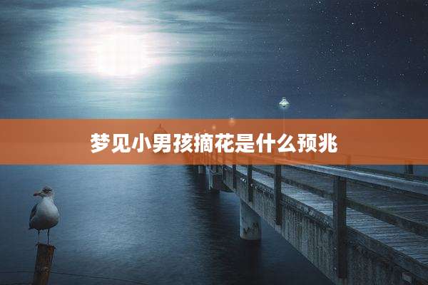 梦见小男孩摘花是什么预兆